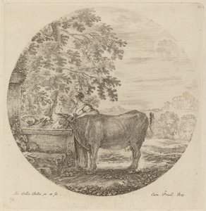 Vache et jeune berger à une fontaine - Stefano della Bella