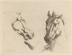 Tête de cheval vue de profil et en trois quarts - Stefano della Bella