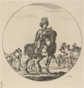 Cavalier hongrois