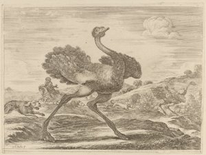 Chasse à l