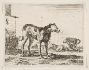 Planche 11 : chiens, de Divers animaux, vers 1641 - Stefano della Bella