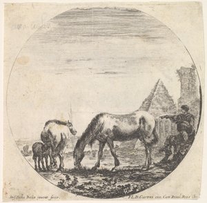 La pyramide de Caius Cestius à droite en arrière-plan, un cheval broutant, vers 1643-48 - Stefano della Bella