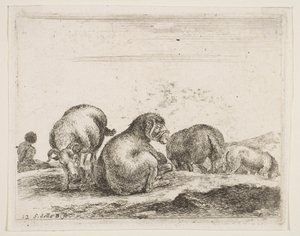 Planche 12 : moutons et bélier dans un pâturage, de Divers animaux - Stefano della Bella