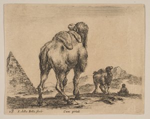 Planche 18 : chameau vu de derrière avec pyramide à gauche, de 