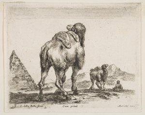 Planche 18 : chameau vu de derrière avec pyramide à gauche, de Divers animaux - Stefano della Bella