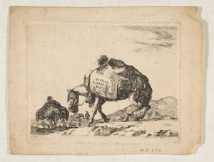 Planche 1 : un cheval de bât, de 