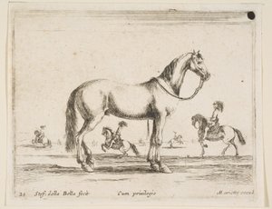 Cheval, de Diversi animali, 1641 - Stefano della Bella