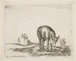 Ânes, de Divers animaux, vers 1641