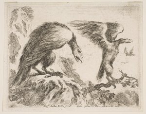Planche 2 : aigle et aiglon, de Divers animaux