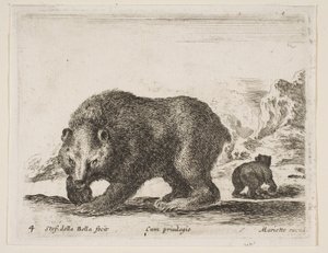 Planche 4: ours, de 