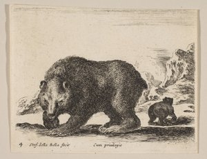 Planche 4 : ours, de 
