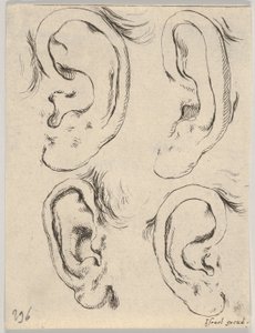 Planche 5: quatre oreilles, du Livre pour apprendre à dessiner, vers 1649 - Stefano della Bella
