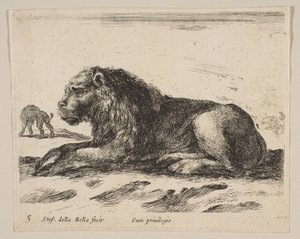 Planche 5 : lion couché, de Divers animaux, vers 1641 - Stefano della Bella