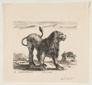 Planche 6 : lion, de 