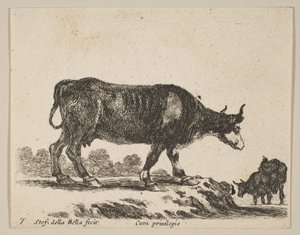 Vache, de Divers animaux