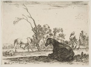 Planche 8 : un cheval assis à droite, vu de derrière et tourné vers la gauche, trois autres chevaux..., 1642