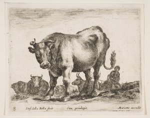 Planche 8 : vache, de Divers animaux Diversi animali, vers 1641