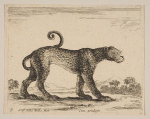 Plaque 9 : léopard, de Divers animaux, vers 1641
