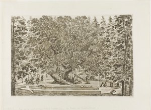 La Fontaine du Chêne