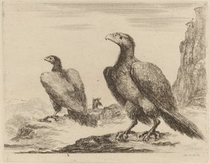 Deux aigles, tous deux tournés vers la gauche, sur une haute falaise - Stefano della Bella