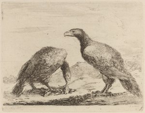 Deux aigles, l