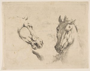 Deux têtes de cheval, vers 1649 - Stefano della Bella