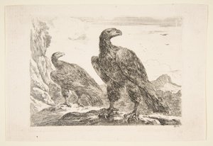 Deux aigles, des 
