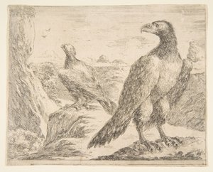 Deux aigles, des Aigles Les aigles, vers 1651