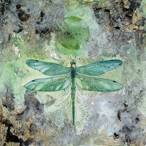  - Stephanie Law