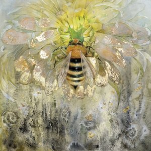  - Stephanie Law