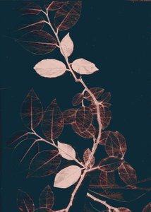 Freyr VII Dark Copper, 2018 (numérique)
