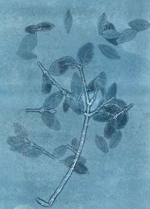 Midnight Garden I, 2015 (monoprint sur papier)