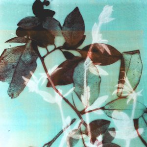 Saison III, 2018 (numérique)
