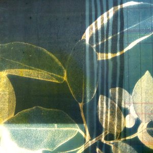 Saison I, 2018 (numérique)