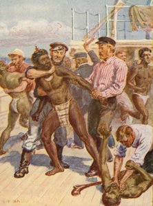 Illustration de la vie de l