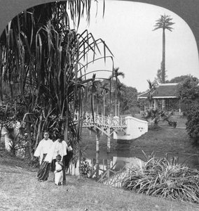Un aperçu des jardins tropicaux de Rangoon, Birmanie