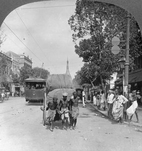 Rue Dalhousie, la plus animée de la ville, Rangoon, Birmanie, 1908 - Stereo Travel Co