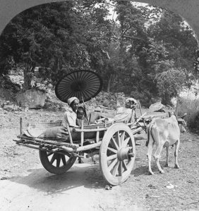 Famille voyageant dans la jungle près de Mingun, Birmanie - Stereo Travel Co