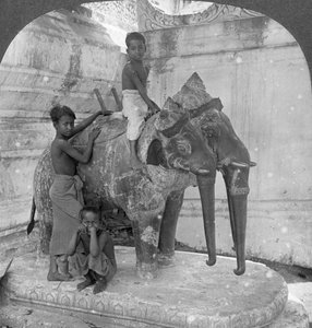 Éléphant à trois têtes gardant un sanctuaire, Pagode Arakan, Mandalay, Birmanie, 1908