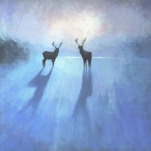 Les majestueux cerfs en hiver - Steve Mitchell