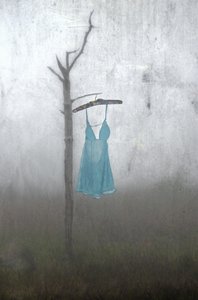 Robe bleue brumeuse - Steven Gibson