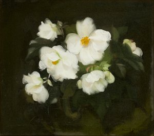 Roses blanches - Stuart Park