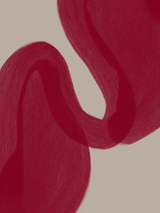 Courbes rouges sinueuses - Studio Palette
