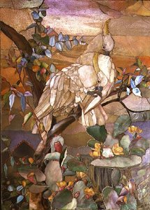 Cacatoès à huppe jaune, traditionnellement attribué à Joseph Briggs