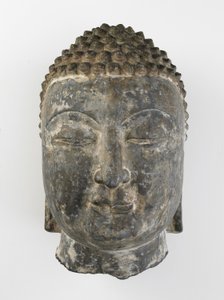 Tête colossale de Bouddha