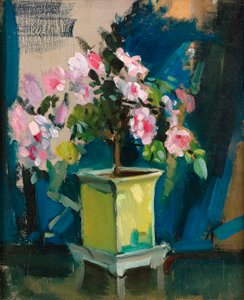 Camélia, vers 1920
