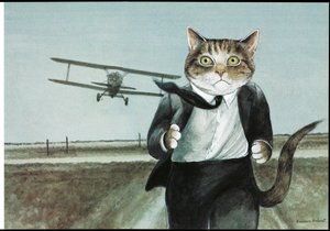 Illustration du film Cats (pub. 2006)
