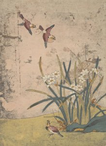 Oiseaux et narcisses - Suzuki Harunobu