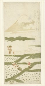 Planteurs de riz - Suzuki Harunobu