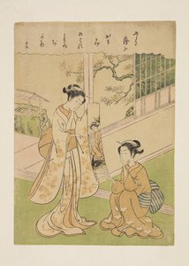 Pièce inconnue de Yoneyama Teiga - Suzuki Harunobu